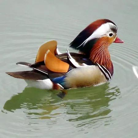 La Torre Dei Canonici Lumellogno